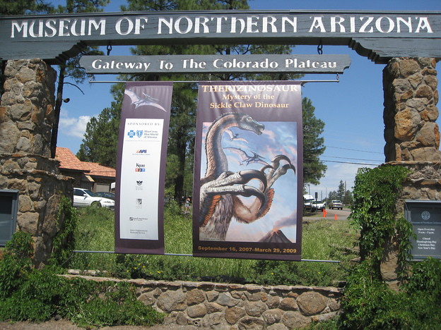Museum of Northern Arizona discovered their very own dinosaur