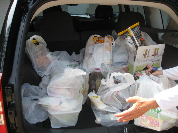 Just the initial groceries to get through the first afternoon